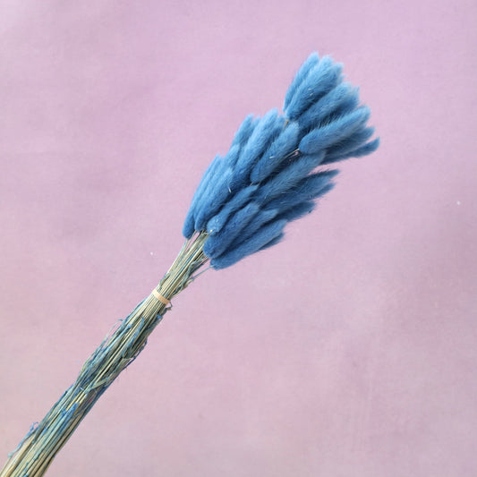 Bunny Tails Sea Blue