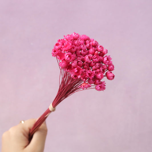 Star Flower Hot Pink