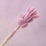 Bunny Tails Mauve