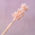 Bunny Tails Pastel Pink