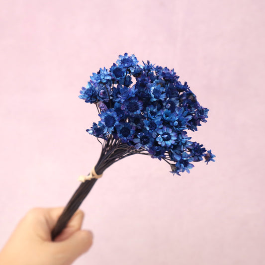 Star Flower Royal Blue
