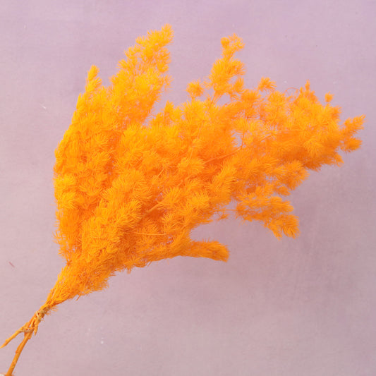 Ming Fern Bright Orange