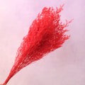 Misty Bleached Red