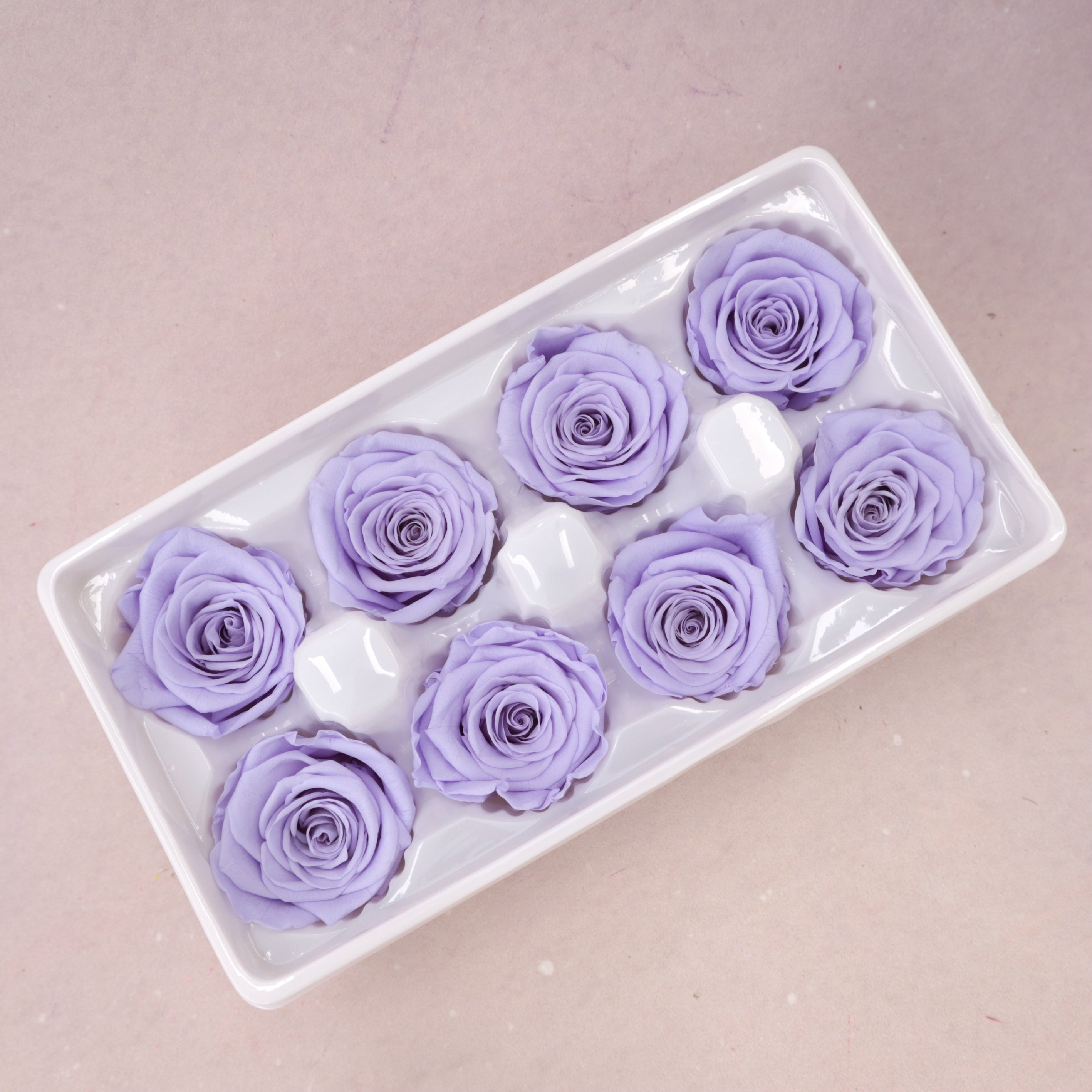 Rose Periwinkle Purple 8 heads