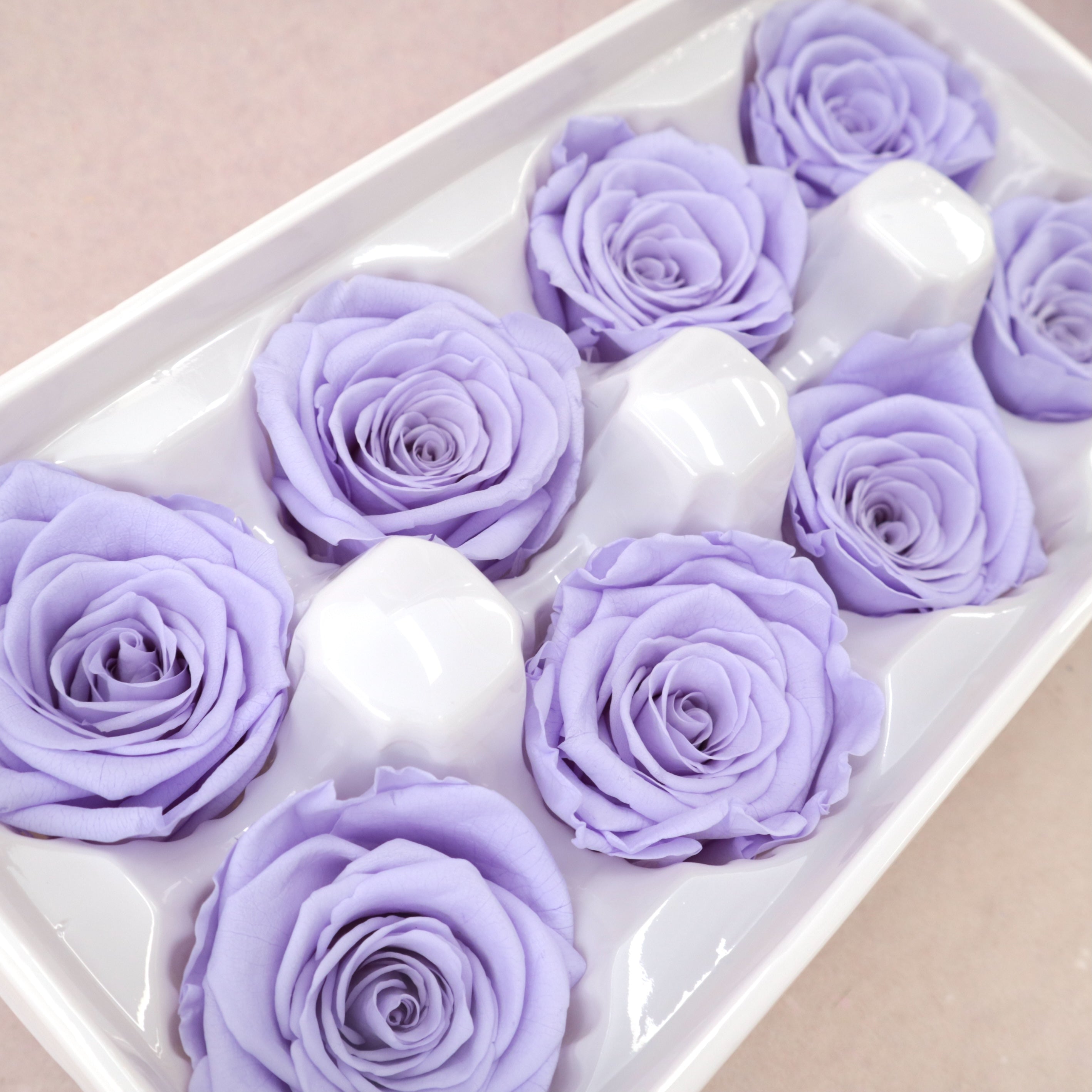 Rose Periwinkle Purple 8 heads