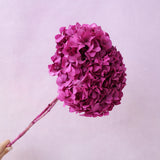 Hydrangea Bigleaf Magenta