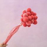 Billy Button Watermelon Red