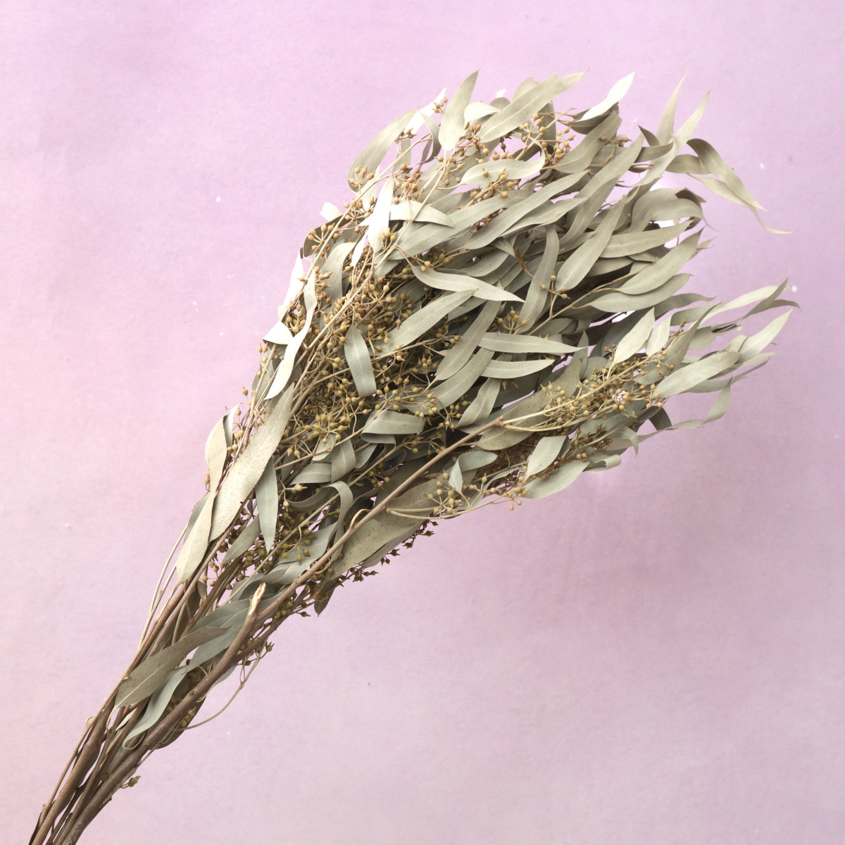 Seeded Gum Natural – Floral Forest Wholesale