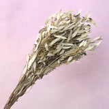 Seeded Gum Natural