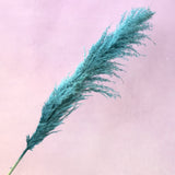 Pampas Grass Teal