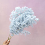 Ming Fern Baby Blue