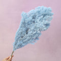 Ming Fern Sky Blue