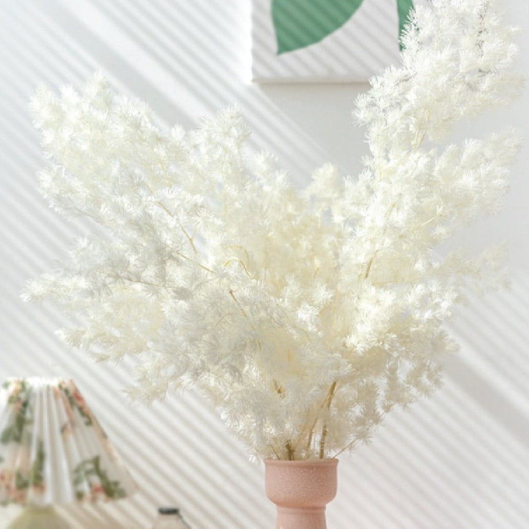 10 Bunches of Ming Fern Creamy White