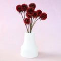Scabiosa Wine Red