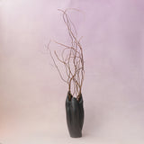 Curly Willow Branch