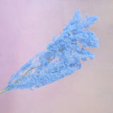 Ming Fern Powder Blue