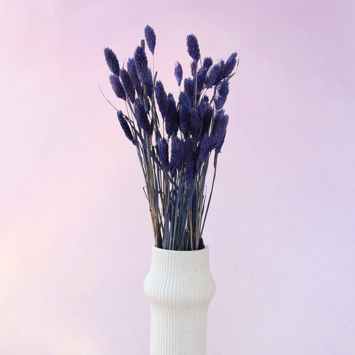 Gem Grass Royal Purple