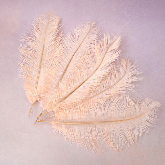 5 pcs Ostrich Feathers Champagne
