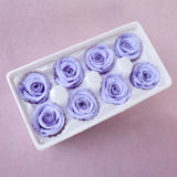 Rose Periwinkle Purple 8 heads