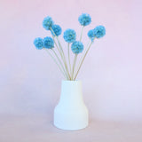 Scabiosa Sky Blue
